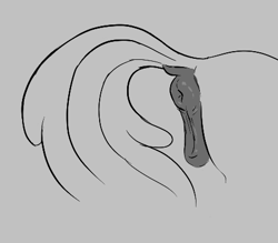 Size: 449x394 | Tagged: explicit, apple bloom, aggie.io, anatomically correct, anus, butt, dark genitals, dock, earth pony, female, filly, foal, foalcon, g4, imported from derpibooru, monochrome, nudity, plot, ponut, pony, raised tail, simple background, solo, solo female, tail, vulva
