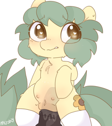 Size: 1013x1142 | Tagged: explicit, artist:mushy, oc, oc:pea, anatomically correct, blushing, chest fluff, clothes, crotchboobs, dildo, dildo sitting, earth pony, eye clipping through hair, eyebrows, eyebrows visible through hair, female, filly, fluffy, foal, foalcon, heart eyes, horsecock dildo, hurting, imported from derpibooru, insertion, legwear, looking at you, nipples, nudity, oc only, pony, pubic fluff, sex toy, simple background, socks, solo, solo female, sweat, sweatdrops, thigh highs, transparent background, vaginal insertion, vaginal secretions, vulva, wingding eyes, x-ray