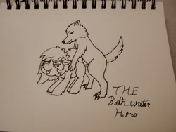 Size: 4080x3072 | Tagged: explicit, artist:thebathwaterhero, oc, oc:candy pie, bestiality, dog, female, filly, foal, foalcon, imported from derpibooru, interspecies, oc only
