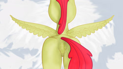 Size: 1920x1080 | Tagged: explicit, artist:navqshy, apple bloom, anus, butt, female, filly, flying, foal, foalcon, g4, imported from derpibooru, nudity, pegasus, plot, pony, race swap, solo, solo female, vulva