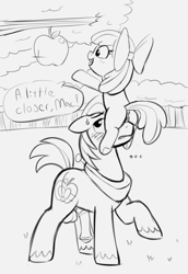 Size: 1770x2575 | Tagged: explicit, artist:heretichesh, apple bloom, accidental incest, anus, apple, apple bloom's bow, balls, big macintosh, bow, butt, duo, earth pony, erection, female, filly, foal, foalcon, food, g4, hair bow, imported from derpibooru, incest, male, nudity, penis, plot, ponut, pony, sexually oblivious, stallion, vulva