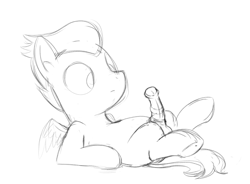 Size: 1634x1204 | Tagged: explicit, artist:dtcx97, balls, colt, foal, foalcon, g4, horsecock, imported from derpibooru, male, monochrome, nudity, pegasus, penis, pony, rumble, simple background, sketch, solo, solo male, white background