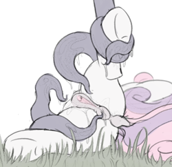 Size: 882x853 | Tagged: explicit, artist:dtcx97, sweetie belle, anatomically correct, anus, clitoris, crotchboobs, dock, female, filly, foal, foalcon, g4, imminent sex, imported from derpibooru, nipples, nudity, ponut, pony, sketch, teats, tentacle porn, tentacles, underhoof, unicorn, vulva, vulvar winking