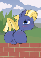 Size: 1000x1414 | Tagged: explicit, artist:happy harvey, anus, backsack, balls, bedroom eyes, big round butt, blue coat, blue eyes, blushing, brick wall, butt, cloud, day, dock, ear piercing, foal, foalcon, freckles, g4, heart eyes, imported from derpibooru, large butt, looking at you, looking back, looking back at you, male, nudity, outdoors, perineal raphe, phone drawing, piercing, plot, ponut, pony, presenting anus, raised tail, reasonably sized balls, reasonably sized genitals, sitting, sky, smiling, smiling at you, solo, solo male, stallion, star tracker, tail, taint, teenager, tree, wingding eyes
