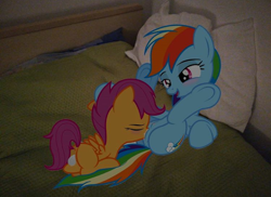 Size: 720x523 | Tagged: explicit, rainbow dash, scootaloo, age difference, anus, bed, bedroom eyes, blank flank, blanket, crotchboobs, cunnilingus, eyes closed, female, females only, foalcon, g4, hoof on head, imported from derpibooru, insertion, irl, lesbian, masturbation, nipples, nudity, on back, oral, photo, pillow, pony, sex, ship:scootadash, shipping, show accurate, show accurate porn, snout penetration, spread wings, vaginal insertion, vaginal secretions, vulva, wingboner, wings