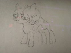 Size: 4160x3120 | Tagged: explicit, artist:anonymous, 4chan, barley barrel, barrel twins, colt, colt on filly, drawthread, female, filly, foal, foalcon, g4, imported from derpibooru, incest, male, my little pony: friendship is magic, my little pony: rainbow roadtrip, pegasus, pencil drawing, pickle barrel, pony, ship:barrelcest, siblings, straight, traditional art, twincest, twins