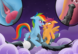 Size: 3222x2258 | Tagged: explicit, artist:andaluce, rainbow dash, scootaloo, oc, oc:tempest streamrider, ahegao, bisexual, blushing, canon x oc, clitoral stimulation, clitoris, close-up, cloud, cowgirl position, creampie, cum, cum in uterus, cunnilingus, derpibooru exclusive, drool, drool string, female, female on male, ffm threesome, filly, filly on stallion, foal, foalcon, g4, group sex, high res, imported from derpibooru, internal cumshot, lesbian, lineless, male, mare, mare on stallion, night, not thunderlane, nudity, open mouth, oral, pegasus, penetration, pony, raised tail, reverse spitroast, sex, ship:scootadash, ship:streamdash, shipping, spread wings, stallion, straight, tail, threesome, tongue out, unshorn fetlocks, uterus, vagina, vaginal, vaginal secretions, vulva, vulvar winking, wings, x-ray