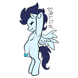 Size: 1000x1000 | Tagged: explicit, artist:vodkamewtwoni, colt, flaccid, foal, foalcon, g4, imported from derpibooru, male, nudity, pegasus, penis, pony, simple background, small penis, soarin', solo, spread wings, stretching, transparent background, wings