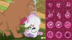 Size: 8000x4500 | Tagged: explicit, artist:metalhead97, sweetie belle, aftersex, age difference, an egg being attacked by sperm, anus, balls, bestiality, butt, canine penis, canine sex, commission, creampie, cum, dog, dog on filly action, drool, drool on face, drool string, egg cell, female, filly, foal, foalcon, g4, imported from derpibooru, impregnation, internal, interspecies, mare, messy, multiple heads, nudity, open mouth, orthros, penis, plot, pony, sex, show accurate, show accurate porn, size comparison, size difference, spermatozoon, spread legs, spreading, sweetie butt, tongue out, two heads, underhoof, unicorn, vein, veiny cock, vulva