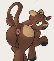 Size: 622x691 | Tagged: explicit, artist:sliderspoint, oc, oc:bo howdy, anus, balls, bull, calf, foalcon, imported from derpibooru, looking at you, looking back, looking back at you, male, nudity, oc only, raised hoof, rear view, simple background, white background, young
