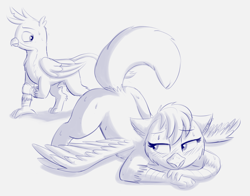 Size: 1953x1530 | Tagged: explicit, artist:heretichesh, oc, oc:amber wing, balls, blushing, erection, female, flashing, foalcon, g4, gallus, griffon, imported from derpibooru, looking back, male, nudity, penis, presenting, reacting to nudity, sketch, sweat