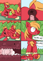 Size: 2480x3508 | Tagged: explicit, artist:jbond, comic:applebuck, aftersex, age difference, anal, anal creampie, big macintosh, colt, colt on stallion, comic, creampie, cum, cumming, cyrillic, duo, duo male, earth pony, eyes closed, foal, foalcon, g4, gay, going in dry, high res, imminent anal, imminent penetration, imminent sex, imported from derpibooru, male, nudity, part of a set, penetration, penis, pony, prone, russian, self paradox, self ponidox, selfcest, sex, shipping, sleeping, speech bubble, speed bump position, stallion, text, time paradox, time travel, x-ray
