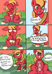 Size: 2480x3508 | Tagged: explicit, artist:jbond, comic:applebuck, age difference, ahegao, big macintosh, colt, comic, cyrillic, dialogue, duo, earth pony, eyes closed, foal, foalcon, g4, gay, high res, imported from derpibooru, male, masturbation, nudity, open mouth, part of a set, penis, pony, ponyville schoolhouse, russian, self paradox, self ponidox, selfcest, shipping, sitting, speech bubble, stallion, stallion on colt, text, time paradox, time travel, tongue out