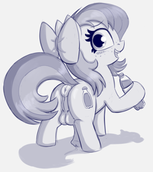 Size: 1636x1846 | Tagged: explicit, artist:heretichesh, oc, oc:fizzie, anus, balls, blushing, bow, dock, filly, flashing, foal, foalcon, futa, futa filly, futa oc, hair bow, imported from derpibooru, intersex, looking at you, looking back, nudity, oc only, penis, perineal raphe, ponut, precum, presenting, puffy anus, sketch, soda, solo, solo futa, taint