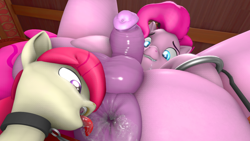 Size: 1920x1080 | Tagged: explicit, semi-grimdark, artist:sicklysweet, pinkie pie, oc, oc:poet, 3d, alternate version, analingus, anus, ass, butt, canon x oc, collar, colt, drool, earth pony, flaccid, foal, foalcon, futa, futa pinkie pie, g4, gift art, grin, imported from derpibooru, intersex, leash, legs in air, male, multiple variants, nudity, oral, penis, ponut, pony, sex, sheath, sheathed, smiling, source filmmaker, tongue out