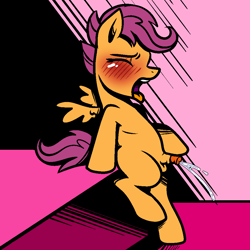 Size: 1000x1000 | Tagged: explicit, artist:vodkamewtwoni, scootaloo, blank flank, blushing, cum, cumming, eyes closed, female, filly, foal, foalcon, futa, futa filly, futa scootaloo, g4, imported from derpibooru, intersex, nudity, pegasus, penis, pony, small penis, solo, solo futa, tongue out