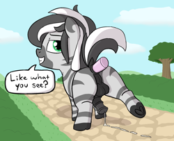 Size: 1838x1494 | Tagged: explicit, artist:heretichesh, oc, oc:imari, anal insertion, backsack, balls, bedroom eyes, bush, butt, cloud, cobblestone street, colt, cum string, dark genitals, day, dialogue, dildo, dock, eyebrows, flirting, foal, foalcon, frog (hoof), grass, grin, horsecock, imported from derpibooru, insertion, looking at you, looking back, looking back at you, male, masturbation, medial ring, nudity, oc only, outdoors, penis, plot, presenting, raised tail, sex toy, sky, smiling, smiling at you, solo, solo male, speech bubble, tail, taint, text, tree, underhoof, zebra