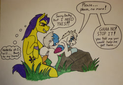 Size: 1280x887 | Tagged: explicit, grimdark, artist:hawkfang, oc, oc:doodley, oc:star lily, age difference, big dom small sub, female, filly, foal, foalcon, grass, imminent kidnapping, imported from derpibooru, male, oc only, penetration, pony, rape, rock, sex, stallion, stallion on filly, straight, traditional art, vaginal