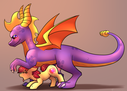Size: 3312x2382 | Tagged: explicit, artist:cornelia_nelson, apple bloom, blushing, creampie, crossover, cum, dragon, female, foalcon, g4, high res, imported from derpibooru, interspecies, knot, male, nudity, penetration, penis, qute, sex, shipping, size difference, spyro the dragon, spyro the dragon (series), straight, vaginal