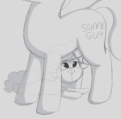 Size: 1488x1468 | Tagged: explicit, artist:heretichesh, pinkie pie, oc, oc:someguy, balls, cute, duo, earth pony, eyes on the prize, female, filly, flaccid, foal, foalcon, g4, imported from derpibooru, lying down, male, nudity, penis, pony, prone, reacting to nudity, reverse foalcon, sheath, sheathed, smiling, stallion, stare, underneath, voyeur, voyeurism, younger, younger pinkie pie