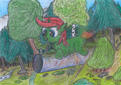 Size: 2270x1608 | Tagged: questionable, artist:vovi, oc, oc:void virgin sparkles, anus, colt, dirty, dirty anus, dock, fetish, foal, foalcon, happy, imported from derpibooru, male, nature, nudity, oc only, pony, poop, scat, smelly, solo, traditional art, unicorn