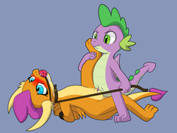 Size: 8000x6000 | Tagged: explicit, artist:chedx, spike, arm behind back, asphyxiation, ballgag, bdsm, blushing, bondage, clitoris, cloaca, cloacal penetration, collar, commission, domination, dragon, dragoness, drool, female, femsub, foalcon, g4, gag, genital slit, imported from derpibooru, just the tip, leaking, leash, lesbian, male, maledom, nudity, penis, sex, ship:spolder, shipping, simple background, smolder, spikedom, straight, submissive, tied up, tribadism, weird lizzer hole, winged spike, wings