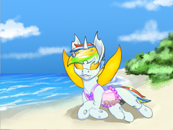 Size: 2732x2048 | Tagged: explicit, artist:stardust-pony, oc, oc:fruitcake, changeling, changeling oc, clothes, colt, crossdressing, foal, foalcon, frilled swimsuit, frilly, high res, imported from derpibooru, male, swimsuit