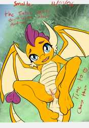 Size: 2536x3613 | Tagged: explicit, artist:stardust-pony, dragon, dragoness, female, foalcon, g4, high res, imported from derpibooru, picture frame, posing for photo, smolder, smolderriere, spread legs, spreading