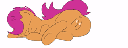 Size: 800x300 | Tagged: explicit, artist:dragonlover69, scootaloo, animated, anus, female, filly, foal, foalcon, g4, gif, human vulva on pony, imported from derpibooru, nudity, pegasus, pony, simple background, sleeping, solo, solo female, vulva, white background