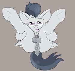 Size: 1806x1707 | Tagged: explicit, artist:sliderspoint, anus, balls, colt, dock, foal, foalcon, g4, imported from derpibooru, looking at you, male, nudity, pony, presenting, rumble, solo, solo male