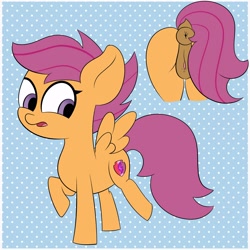 Size: 3000x3000 | Tagged: explicit, artist:vanifl, scootaloo, anus, clitoris, dock, female, filly, foal, foalcon, g4, high res, imported from derpibooru, nudity, pegasus, ponut, pony, vulva