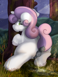 Size: 1639x2160 | Tagged: explicit, artist:not_texmex, sweetie belle, anatomically correct, anus, blank flank, dark genitals, derpibooru exclusive, dock, female, fetish, foalcon, forest, g4, imported from derpibooru, looking back, night, nudity, outdoors, pissing, ponut, pony, steam, unshorn fetlocks, urine, using the bathroom in the woods, vulva, watersports