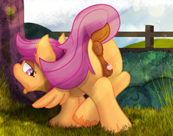 Size: 3818x3000 | Tagged: explicit, artist:not_texmex, scootaloo, anatomically correct, anus, ass up, bush, clitoris, derpibooru exclusive, dock, ear fluff, estrus, face down ass up, female, fence, filly, foal, foalcon, g4, grass, high res, imported from derpibooru, looking back, mare, nudity, open mouth, outdoors, pegasus, ponut, pony, presenting, solo, solo female, tail lift, tongue out, tree, unshorn fetlocks, vaginal secretions, vulva, vulvar winking