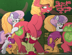 Size: 3000x2304 | Tagged: explicit, artist:mackstack, apple bloom, scootaloo, sweetie belle, age difference, analingus, analingus on male, applecest, ball sucking, balls, balls fetish, big dom small sub, big macintosh, blowjob, blushing, brother and sister, bystander blowjob, cmc foursome, cum, cutie mark crusaders, deep rimming, deepthroat, dialogue, earth pony, facefuck, female, female on male, female on male analingus, femsub, fetish, fffm foursome, filly, filly on stallion, foal, foalcon, forest, foursome, g4, group sex, high res, horsecock, imported from derpibooru, incest, licking, looking back, male, maledom, nudity, onomatopoeia, oral, orgasm, pegasus, penetration, penis, pony, sex, ship:macbloom, ship:scootamac, ship:sweetiemac, shipping, siblings, snout penetration, stallion, stallion on filly, straight, submissive, thick eyebrows, throat bulge, tongue out, unicorn