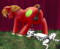 Size: 3150x2550 | Tagged: explicit, artist:harryclopper, oc, oc:desta, anus, balls, big macintosh, blowjob, female, filly, foal, foalcon, g4, high res, horsecock, imported from derpibooru, nudity, oral, penis, red eyes, sex, spread legs, spreading, vagina, zebra, zebra oc