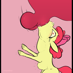 Size: 1200x1200 | Tagged: explicit, artist:stoopedhooy, apple bloom, abdominal bulge, age difference, applecest, balls, big balls, big dom small sub, big macintosh, big penis, blowjob, bow, brother and sister, cock worship, cum, cum in mouth, cum inflation, cum out nose, cumming, deepthroat, derpibooru exclusive, erection, female, female focus, filly, flared, foal, foalcon, g4, heart eyes, horsecock, imported from derpibooru, incest, inflation, leaking, male, masturbation, nudity, offscreen character, oral, orgasm, penis, pony, sex, ship:macbloom, shipping, siblings, size difference, solo focus, stallion, stallion on filly, straight, throat bulge, tongue out, vaginal secretions, wingding eyes