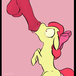 Size: 1200x1200 | Tagged: explicit, artist:stoopedhooy, apple bloom, age difference, applecest, balls, big balls, big dom small sub, big macintosh, big penis, blushing, bow, brother and sister, cock worship, colored, derpibooru exclusive, erection, eyes on the prize, female, female focus, filly, flared, flat colors, foal, foalcon, g4, horsecock, imported from derpibooru, incest, licking, licking cock, male, nudity, offscreen character, oral, penis, pony, sex, ship:macbloom, shipping, siblings, size difference, soft color, solo focus, stallion, stallion on filly, straight, tongue out