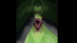 Size: 1440x810 | Tagged: explicit, artist:anon-0df3, oc, oc:filly anon, 3d, animated, blender, blender cycles, clitoral stimulation, clitoris, female, filly, fingering, foal, foalcon, human, human male, human male on filly, human on filly, human on pony action, imported from derpibooru, insertion, interspecies, male, no sound, nudity, oc only, pony, render, sex, straight, vagina, vaginal insertion, vulva, webm, wip