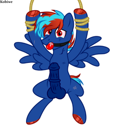 Size: 643x650 | Tagged: explicit, artist:kobiwe, oc, oc:hellfire, ballgag, bdsm, blue fur, bondage, captive, colt, crying, erection, foal, foalcon, gag, imported from derpibooru, looking at you, male, nudity, oc only, pegasus, penis, pony, red eyes, rope, rope bondage, salivating, show accurate, show accurate porn, simple background, solo, solo male, white background, wings