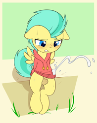 Size: 1254x1600 | Tagged: explicit, artist:pestil, alternate version, balls, clothes, colt, cum, cum through clothes, cumming, foal, foalcon, g4, hands free, imported from derpibooru, male, my little pony: friendship is magic, my little pony: rainbow roadtrip, nudity, pegasus, pickle barrel, pony, shirt, shirtboner, solo, solo male