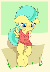 Size: 1129x1600 | Tagged: explicit, artist:pestil, balls, clothes, colt, eyes closed, foal, foalcon, g4, imported from derpibooru, male, my little pony: friendship is magic, my little pony: rainbow roadtrip, nudity, pegasus, pickle barrel, pony, shirt, shirtboner, solo, solo male