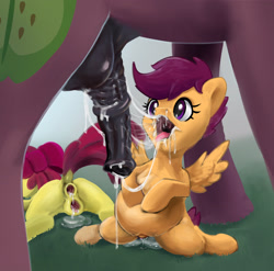 Size: 2862x2830 | Tagged: explicit, artist:hexado, apple bloom, scootaloo, age difference, all the way through, anal creampie, anatomically correct, anatomically incorrect, anus, applecest, ass to mouth, belly inflation, big dom small sub, big macintosh, blowjob, brother and sister, clitoris, creampie, crotchboobs, cum, cum belly, cum inflation, cum string, cum through, dock, drool, drool string, earth pony, eyes on the prize, facial, female, filly, foal, foalcon, g4, gaping, gaping anus, gaping vagina, high res, horsecock, implied anal, imported from derpibooru, incest, inflation, male, nipples, nudity, one after another, oral, pegasus, penis, pony, sex, ship:macbloom, ship:scootamac, shipping, siblings, stallion, stallion on filly, straight, tongue out, vagina, vaginal secretions, vulva, wall of tags