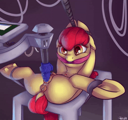 Size: 1014x960 | Tagged: explicit, artist:codename-dash, artist:ponypeon, apple bloom, anatomically correct, animated, anus, blushing, bondage, bondage furniture, cleave gag, cloth gag, crotchboobs, dildo, dock, earth pony, edit, female, floppy ears, foalcon, frog (hoof), fucking machine, g4, gag, imported from derpibooru, insertion, machine, nipples, no sound, nudity, on back, ponut, pony, sex toy, solo, solo female, splits, spread legs, spreading, underhoof, vaginal insertion, vaginal secretions, vulva, webm, wide eyes