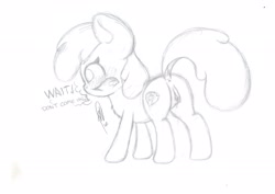 Size: 2340x1654 | Tagged: explicit, artist:hopefulsparks, apple bloom, anus, blushing, chest fluff, clitoris, earth pony, embarrassed, female, filly, foal, foalcon, g4, implied applejack, imported from derpibooru, interrupted, missing accessory, monochrome, nudity, pony, sketch, solo, solo female, vaginal secretions, vulva, vulvar winking