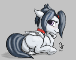 Size: 1200x950 | Tagged: explicit, artist:trefoiler, alternate hairstyle, anus, ask trap-rumble, backsack, balls, blank flank, blushing, butt, choker, colt, crossdressing, dock, foal, foalcon, folded wings, g4, gray background, imported from derpibooru, looking at you, looking back, looking back at you, lying down, male, nudity, on side, pegasus, plot, pony, prone, rear view, rumble, simple background, solo, solo male, trap, underhoof, wings