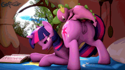 Size: 900x506 | Tagged: explicit, artist:godoffury, spike, twilight sparkle, 3d, ahegao, anal, animated, anus, bed, bird, book, doggy style, dragon, dragon on pony action, female, femsub, foal, foalcon, from behind, g4, gif, golden oaks library, imported from derpibooru, interspecies, looking at you, looking back, looking back at you, male, maledom, mare, nudity, open mouth, owlowiscious, penetration, penis, ponut, pony, reverse foalcon, sex, ship:twispike, shipping, source filmmaker, straight, submissive, twibutt, twilight is a foal fiddler, unicorn, unicorn twilight, vulva